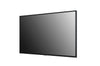 Pantalla profesional LG 43