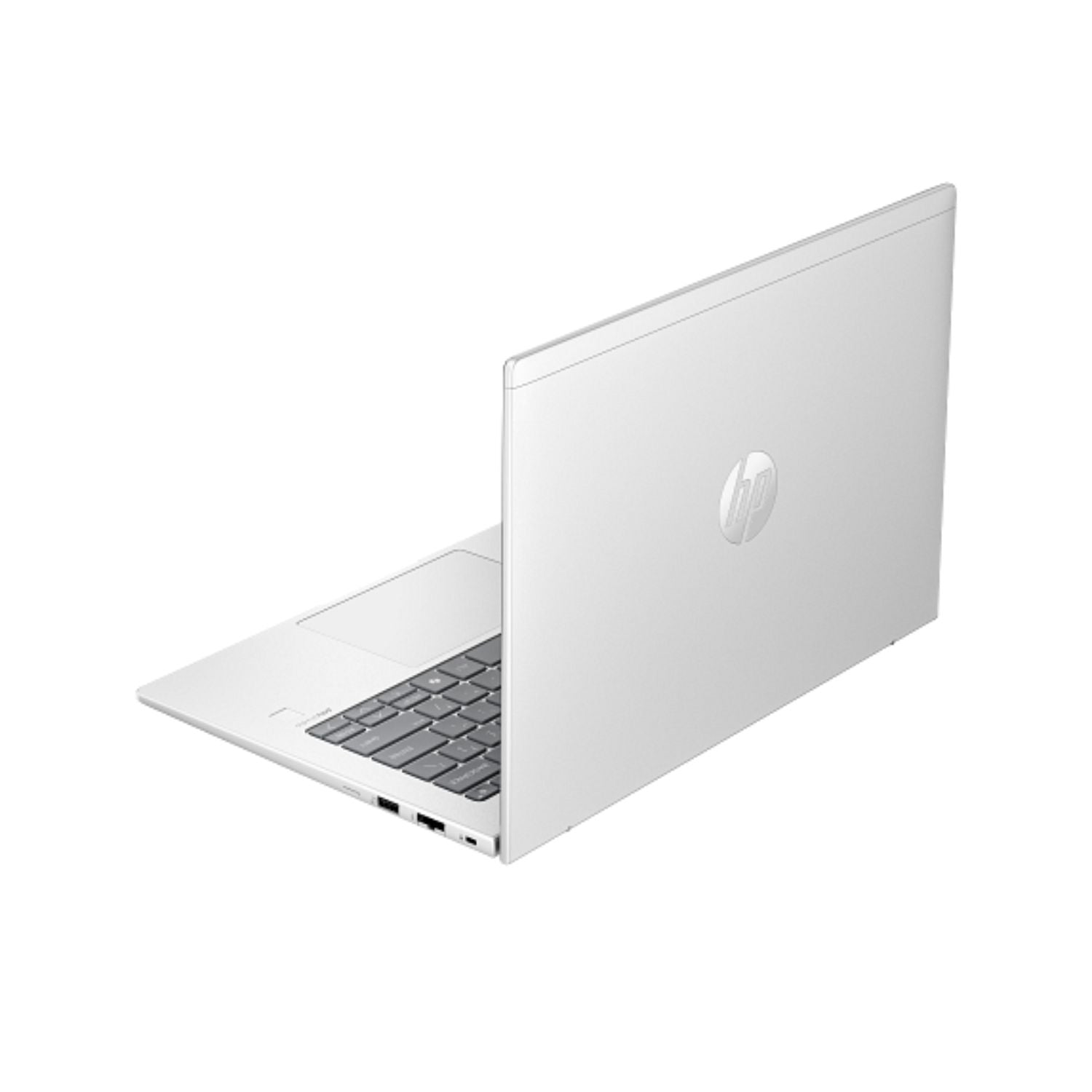 Notebook HP ProBook 445 G11 AMD Ryzen 5-7535U 16GB RAM 512GB SSD